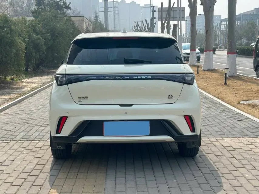 2023 BYD Dolphin BEV 44.928KWH,autocango,china used car exporter,china ev exporter,chinese used car exporter,chinese used ev exporter