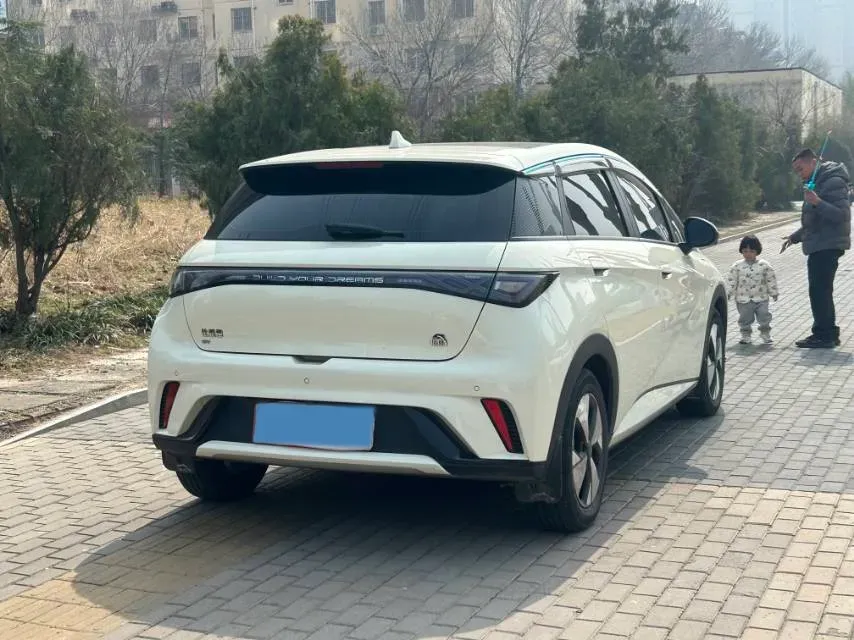 2023 BYD Dolphin BEV 44.928KWH,autocango,china used car exporter,china ev exporter,chinese used car exporter,chinese used ev exporter