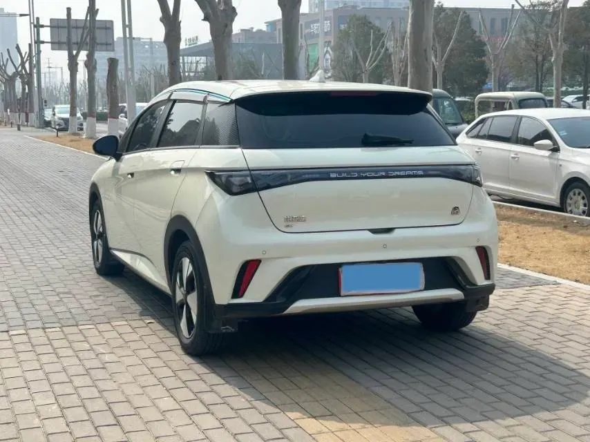 2023 BYD Dolphin BEV 44.928KWH,autocango,china used car exporter,china ev exporter,chinese used car exporter,chinese used ev exporter