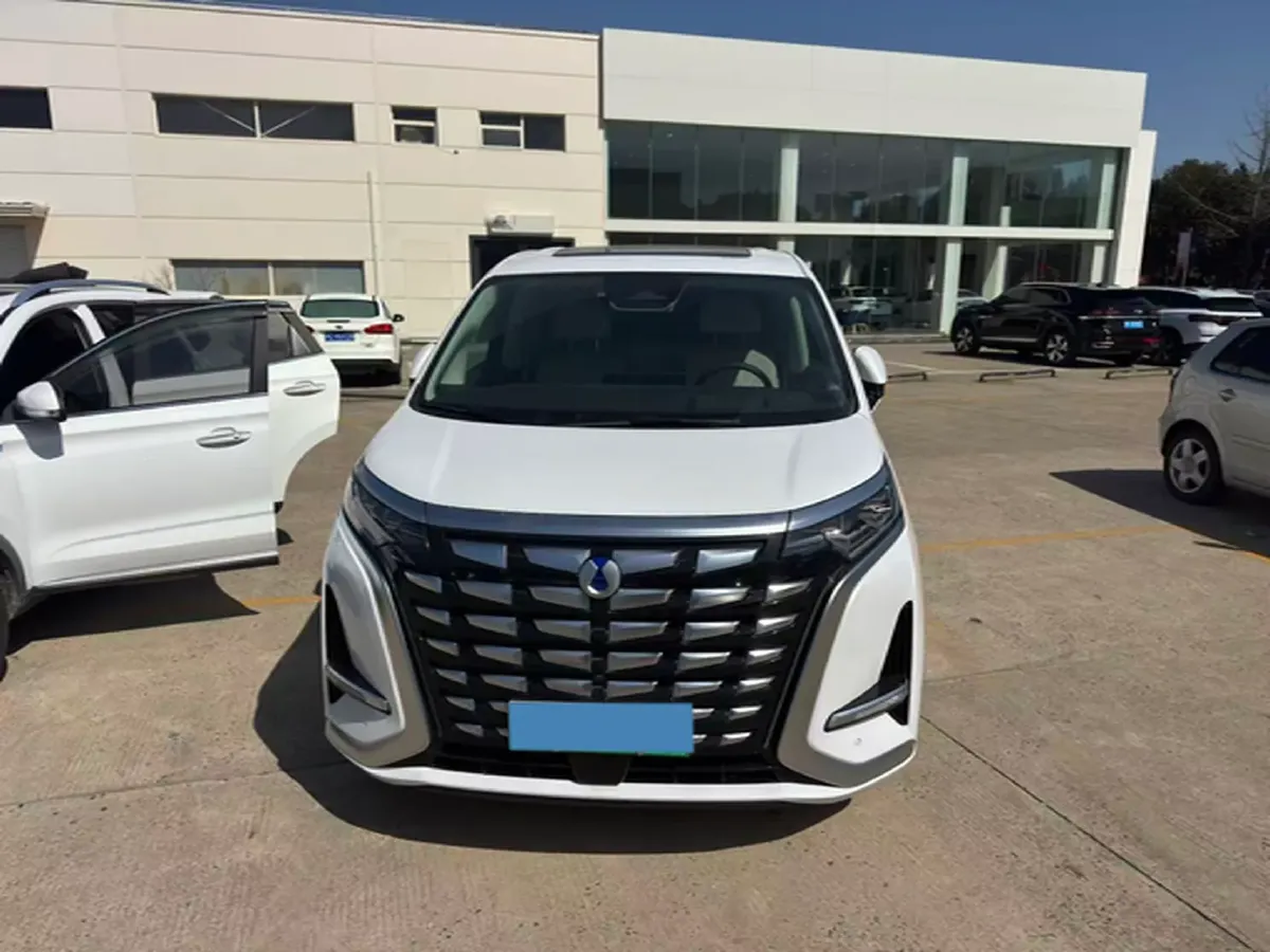 2024 Denza D9 1.5T 139HP L4 E-CVT PHEV 40KWH,autocango,china used car exporter,china ev exporter,chinese used car exporter,chinese used ev exporter