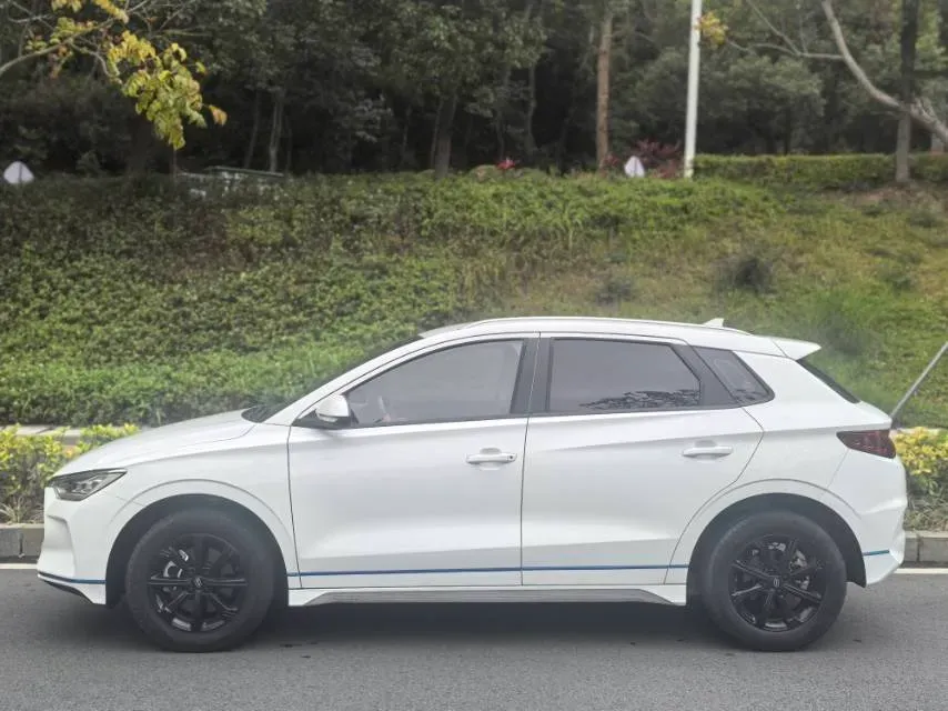 2021 BYD e2 BEV 43.2KWH,autocango,china used car exporter,china ev exporter,chinese used car exporter,chinese used ev exporter