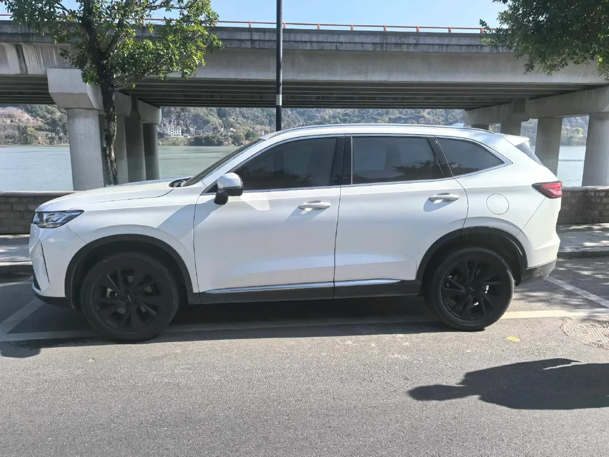 2021 Haval H6 2.0T 211HP L4 7DCT,autocango,china used car exporter,china ev exporter,chinese used car exporter,chinese used ev exporter