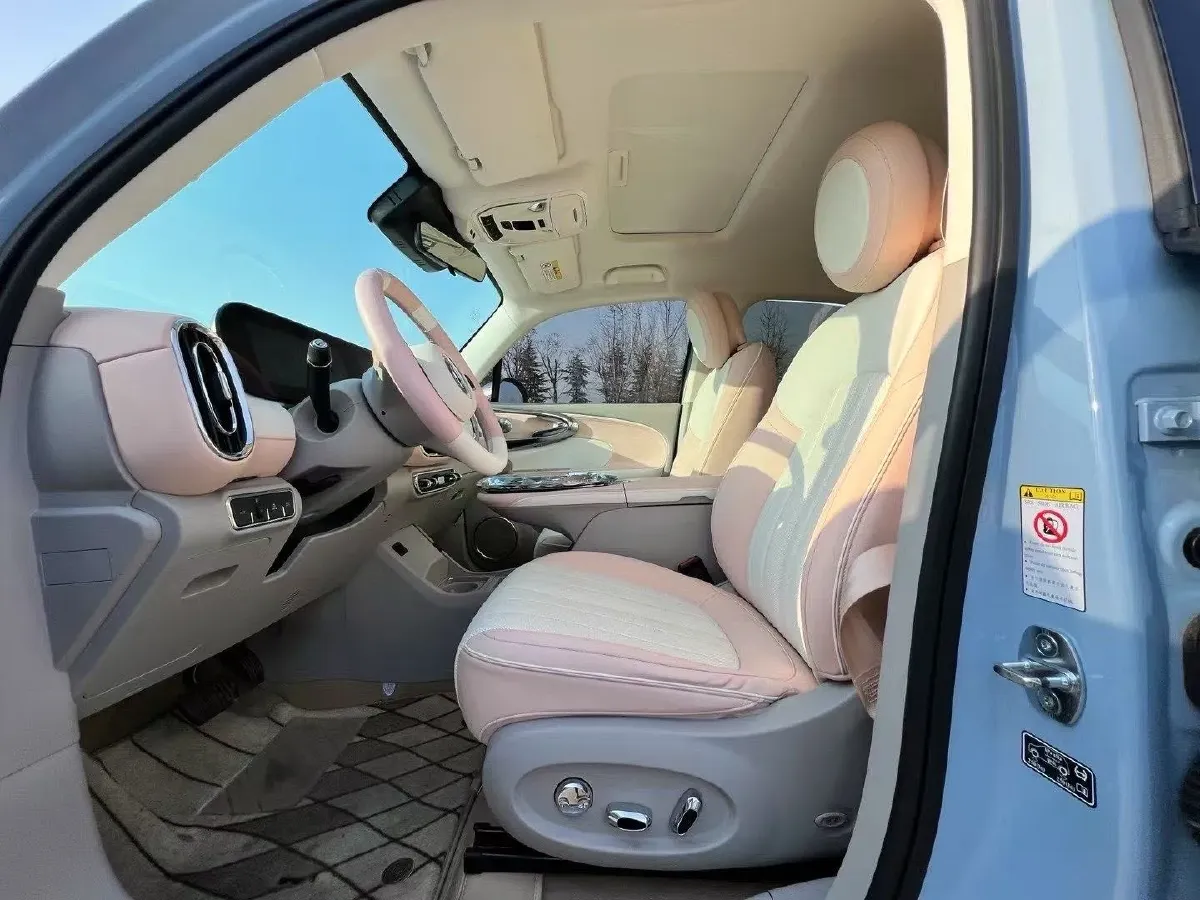 2022 Ora BalletCat BEV 49.92KWH,autocango,china used car exporter,china ev exporter,chinese used car exporter,chinese used ev exporter