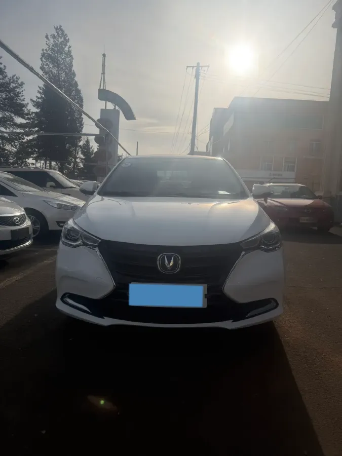 2019 ChangAn Alsvin 1.4L 101HP L4 5MT,autocango,china used car exporter,china ev exporter,chinese used car exporter,chinese used ev exporter