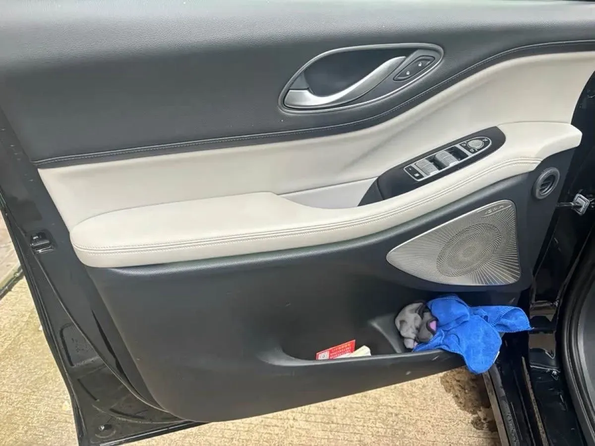 2025 Voyah Dream 1.5T 150HP L4 PHEV 41.7KWH,autocango,china used car exporter,china ev exporter,chinese used car exporter,chinese used ev exporter