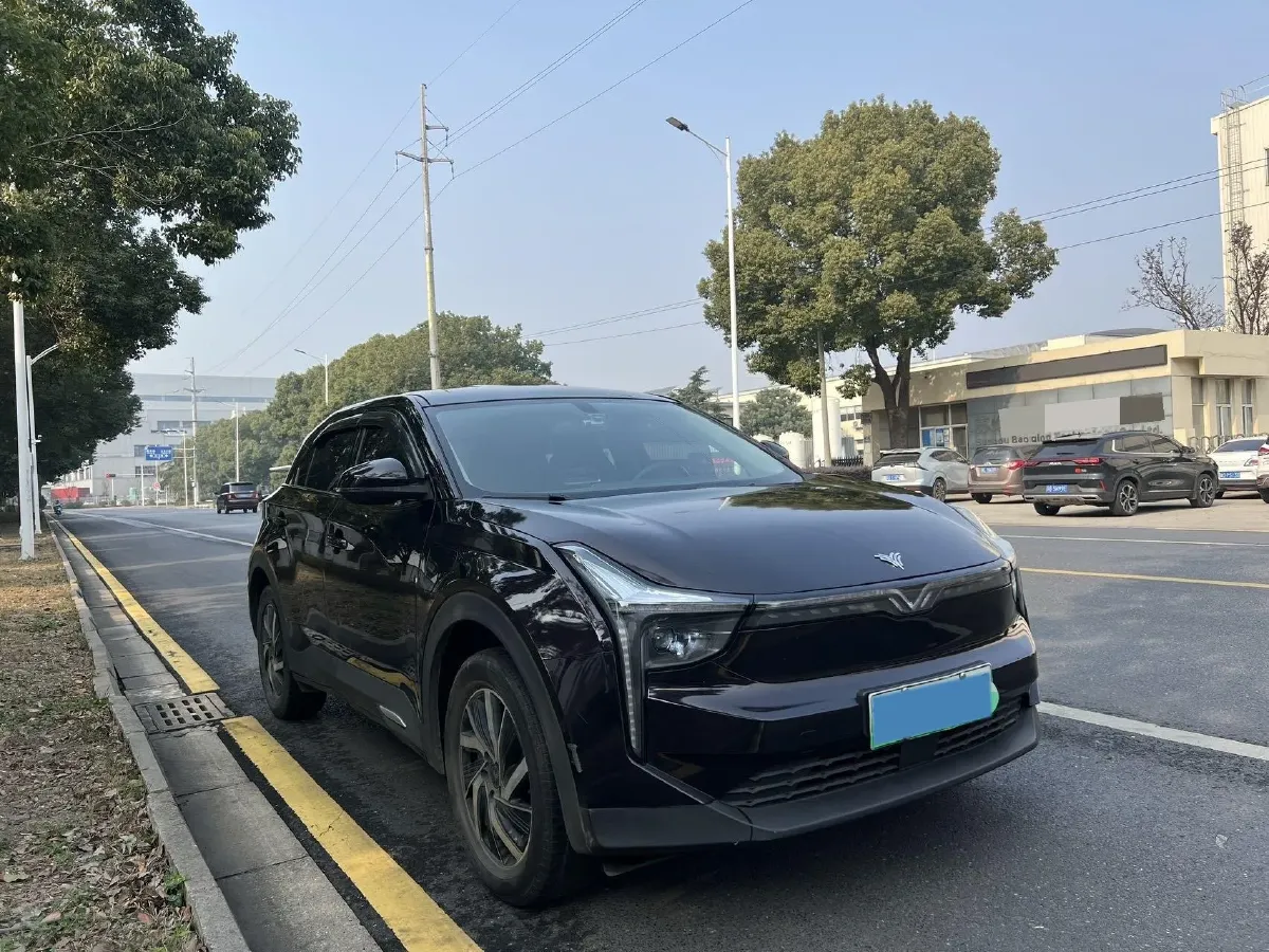 2021 Neta U BEV 54.34KWH,autocango,china used car exporter,china ev exporter,chinese used car exporter,chinese used ev exporter