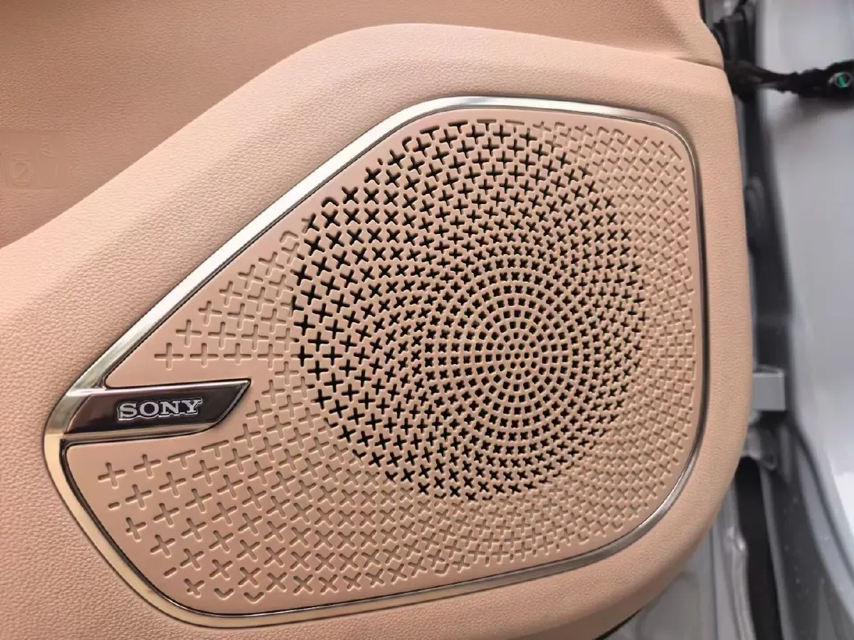 2025 Jetour ShanHai L9 1.5T 156HP L4 2DHT PHEV,autocango,china used car exporter,china ev exporter,chinese used car exporter,chinese used ev exporter