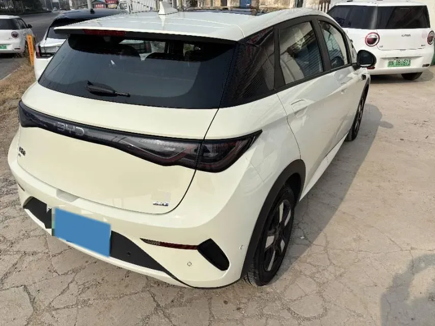 2025 BYD Dolphin BEV 45.12KWH,autocango,china used car exporter,china ev exporter,chinese used car exporter,chinese used ev exporter