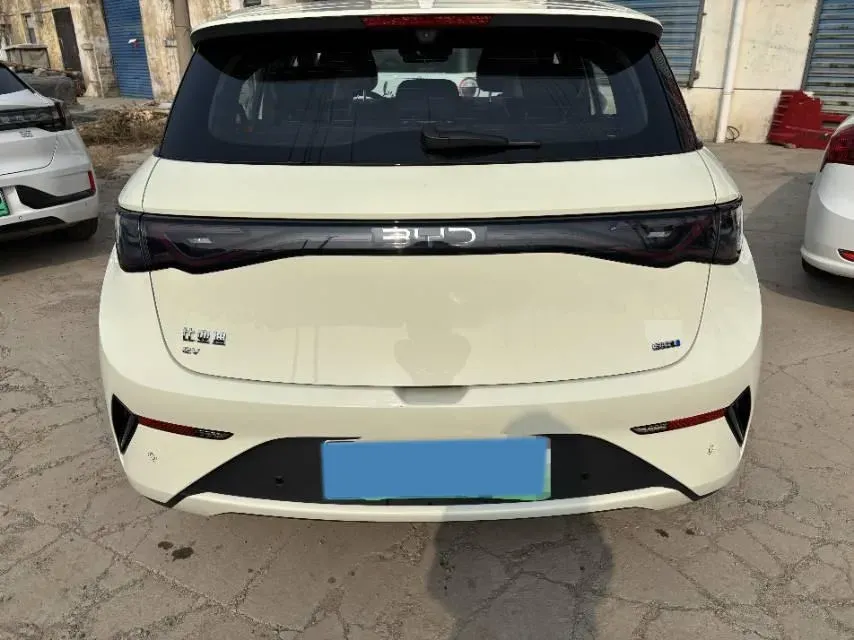 2025 BYD Dolphin BEV 45.12KWH,autocango,china used car exporter,china ev exporter,chinese used car exporter,chinese used ev exporter