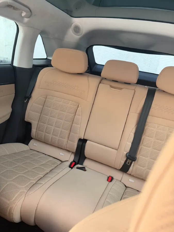 2024 Exceed Sterra ET BEV 100KWH,autocango,china used car exporter,china ev exporter,chinese used car exporter,chinese used ev exporter