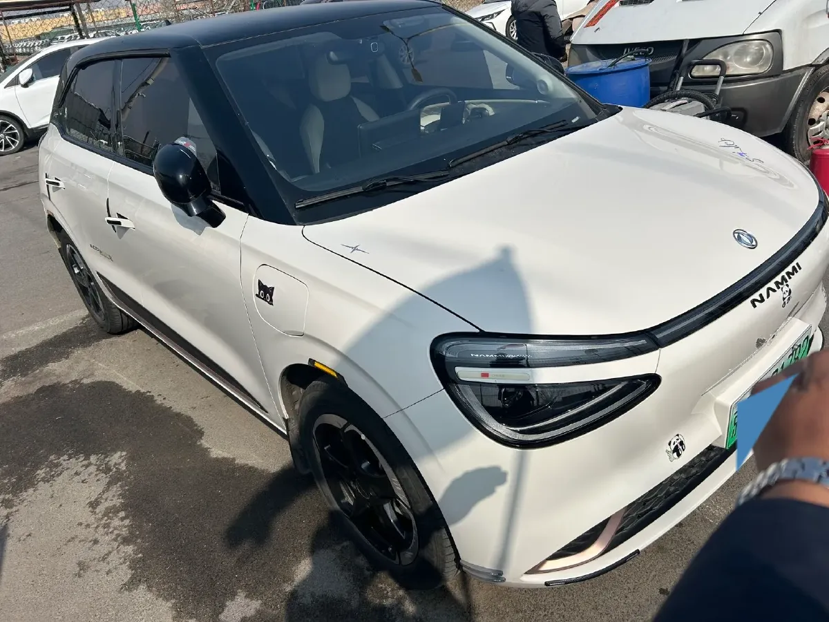 2024 DongFeng Nammi 01 BEV 42.3KWH,autocango,china used car exporter,china ev exporter,chinese used car exporter,chinese used ev exporter
