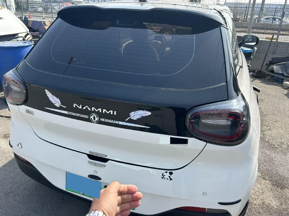 2024 DongFeng Nammi 01 BEV 42.3KWH,autocango,china used car exporter,china ev exporter,chinese used car exporter,chinese used ev exporter