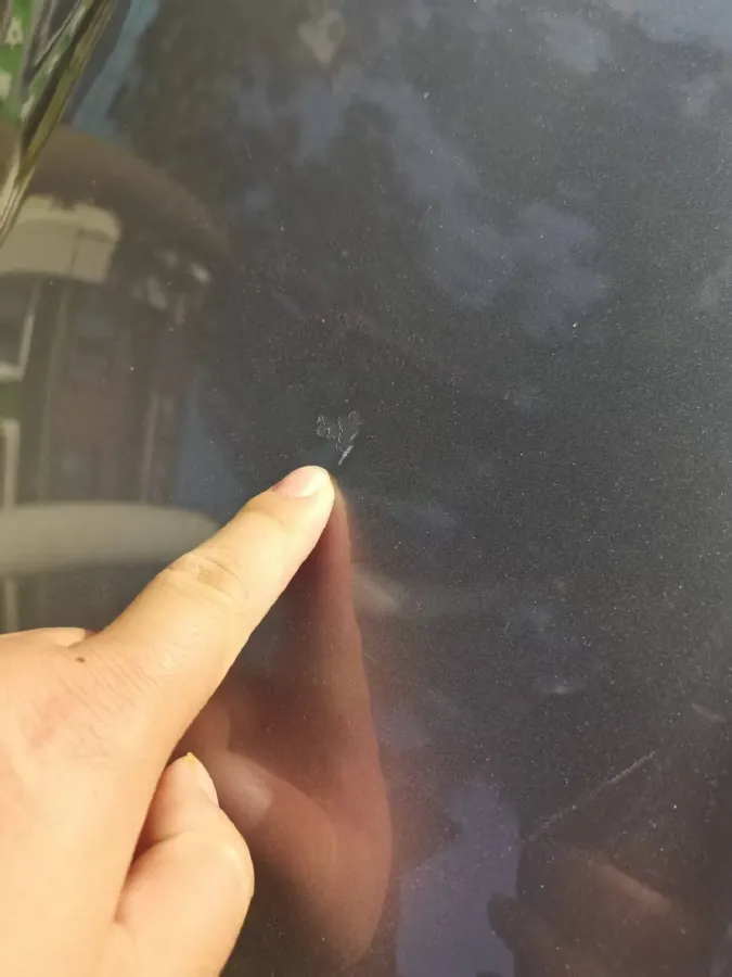 2021 BYD Qin BEV 53.56KWH,autocango,china used car exporter,china ev exporter,chinese used car exporter,chinese used ev exporter