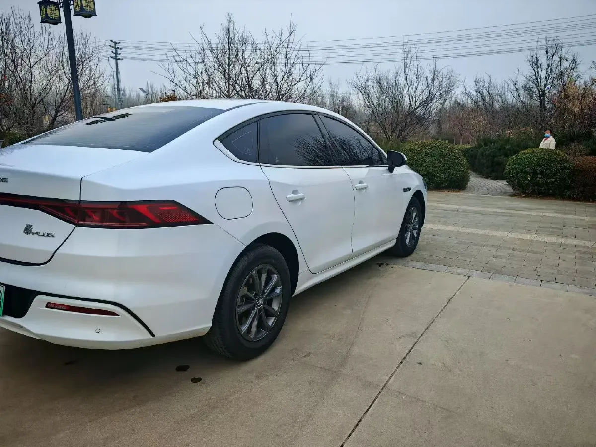 2021 BYD Qin BEV 53.56KWH,autocango,china used car exporter,china ev exporter,chinese used car exporter,chinese used ev exporter