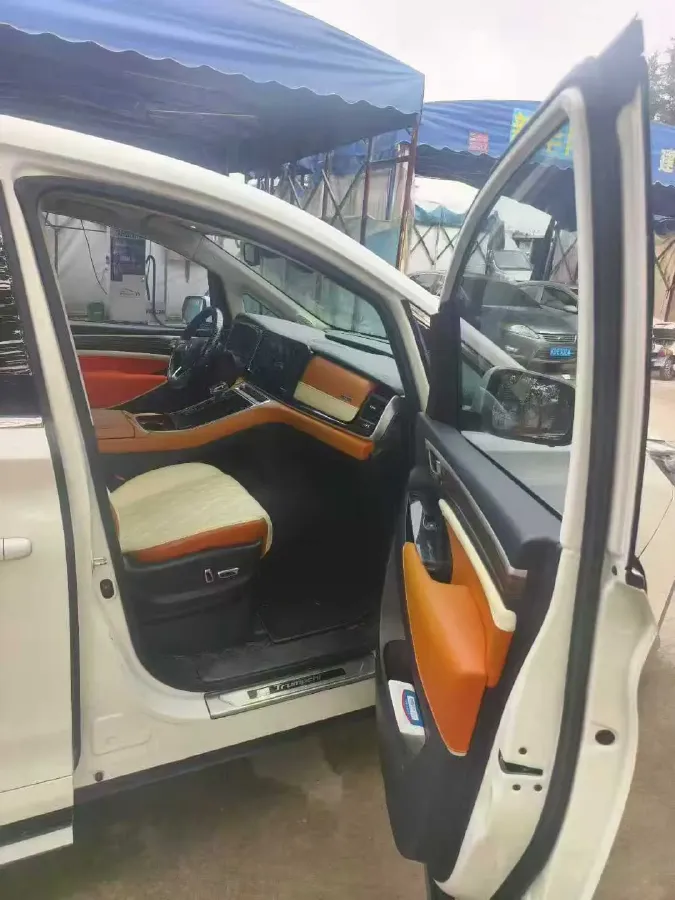 2021 GAC Trumpchi M8 2.0T 252HP L4 8AT,autocango,china used car exporter,china ev exporter,chinese used car exporter,chinese used ev exporter