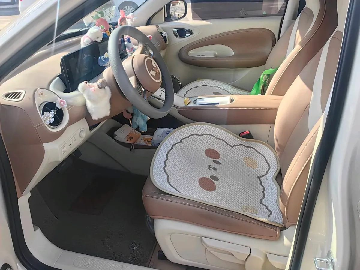 2025 WuLing BinGuo BEV,autocango,china used car exporter,china ev exporter,chinese used car exporter,chinese used ev exporter