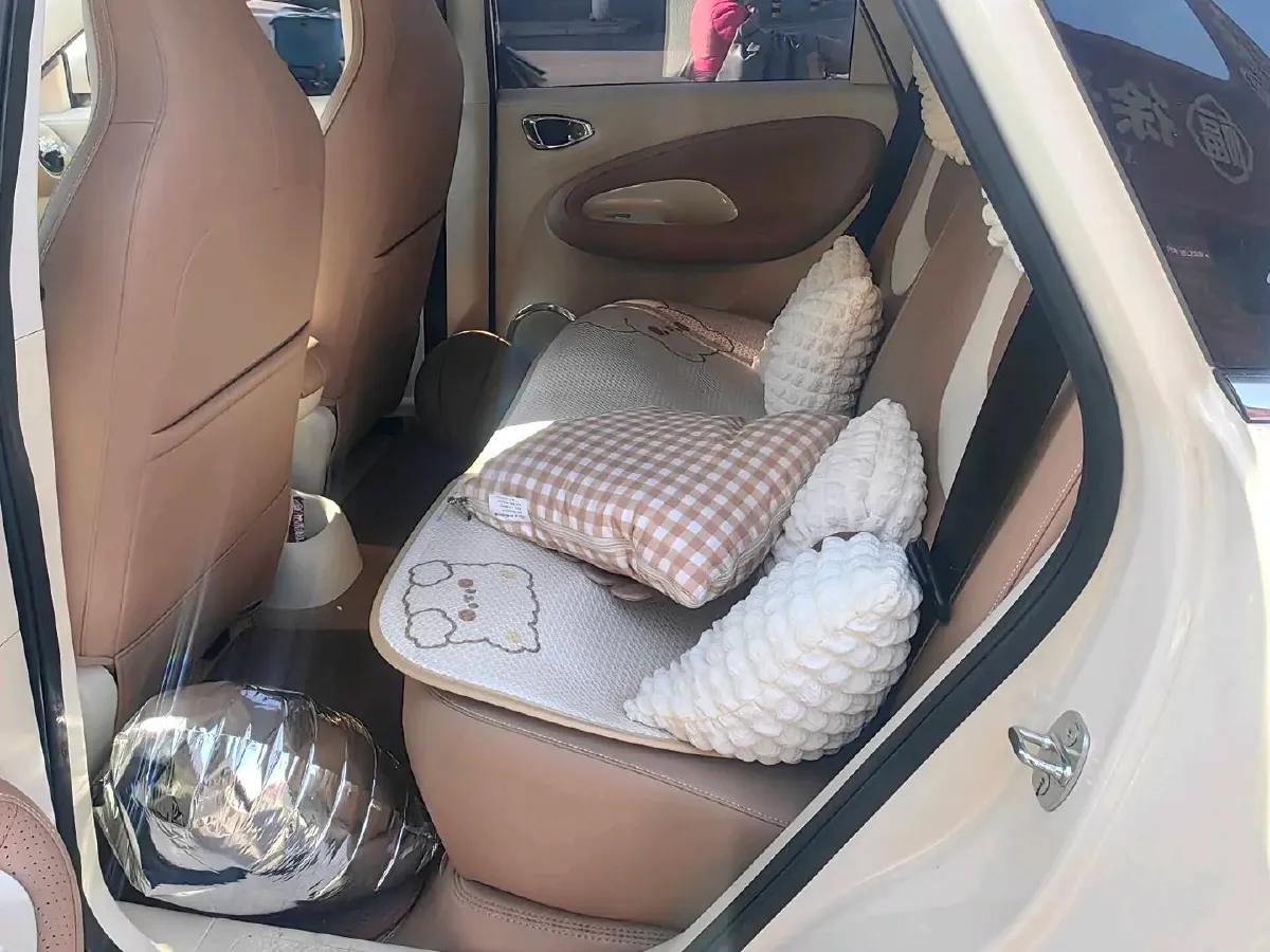 2025 WuLing BinGuo BEV,autocango,china used car exporter,china ev exporter,chinese used car exporter,chinese used ev exporter