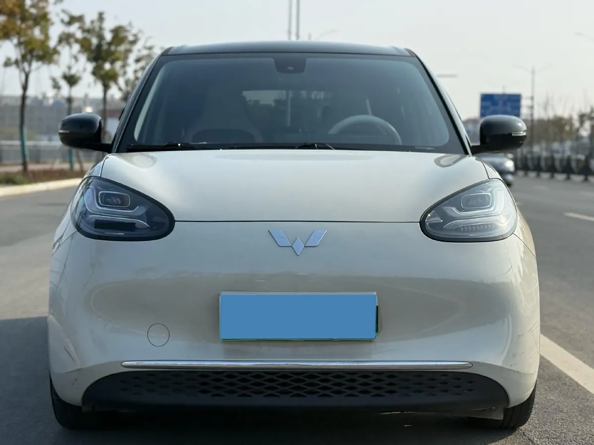 2023 WuLing BinGuo BEV 31.9KWH,autocango,china used car exporter,china ev exporter,chinese used car exporter,chinese used ev exporter