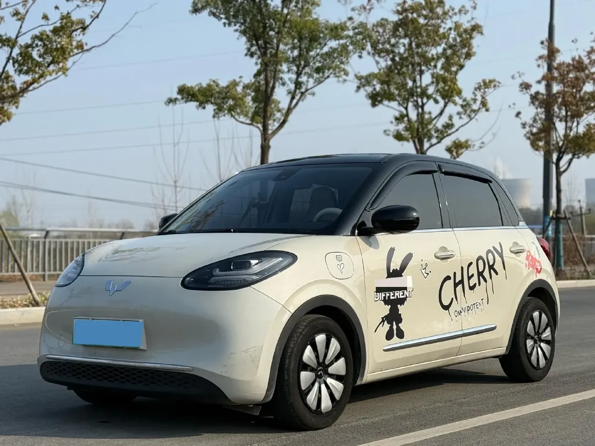 2023 WuLing BinGuo BEV 31.9KWH,autocango,china used car exporter,china ev exporter,chinese used car exporter,chinese used ev exporter