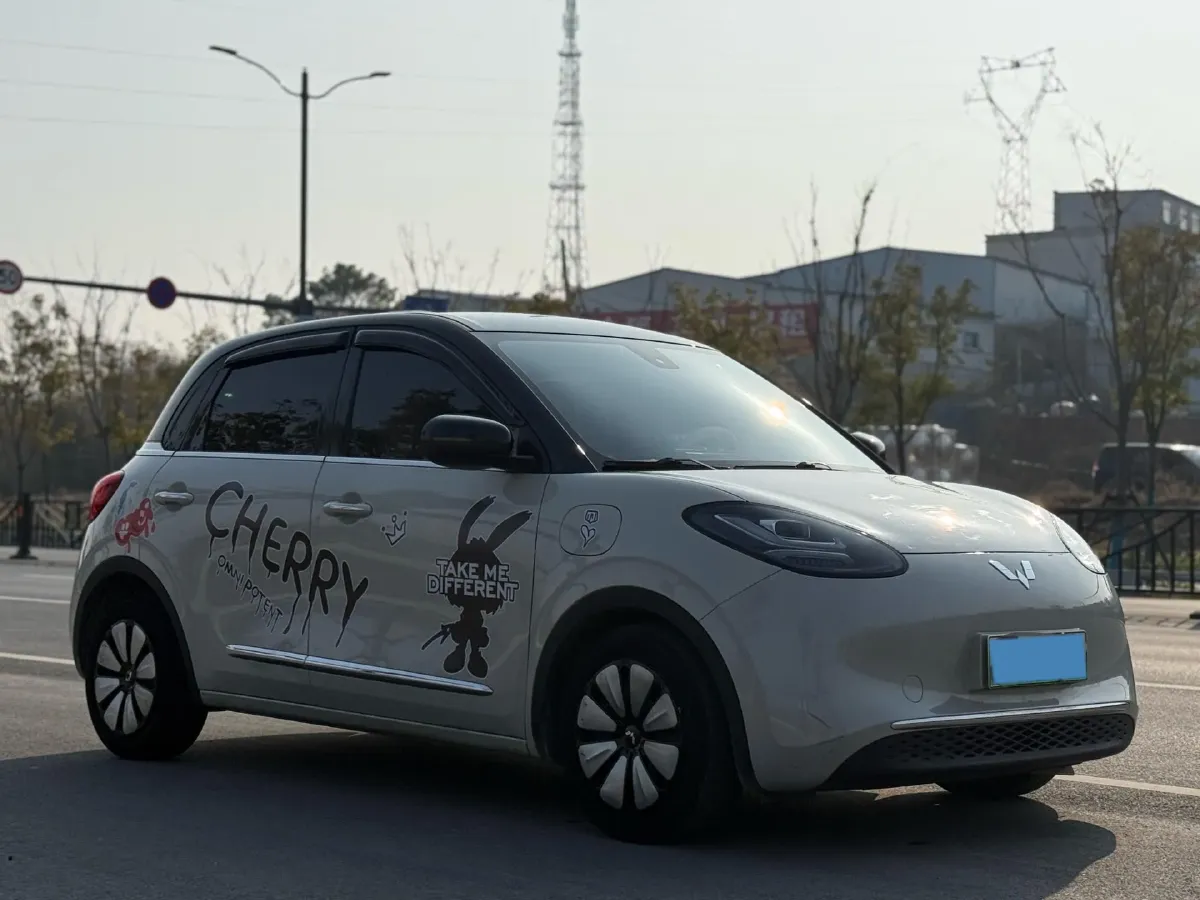 2023 WuLing BinGuo BEV 31.9KWH,autocango,china used car exporter,china ev exporter,chinese used car exporter,chinese used ev exporter