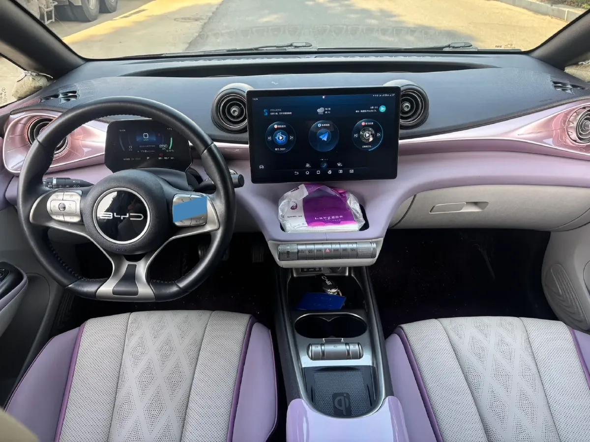 2023 BYD Dolphin BEV 44.928KWH,autocango,china used car exporter,china ev exporter,chinese used car exporter,chinese used ev exporter