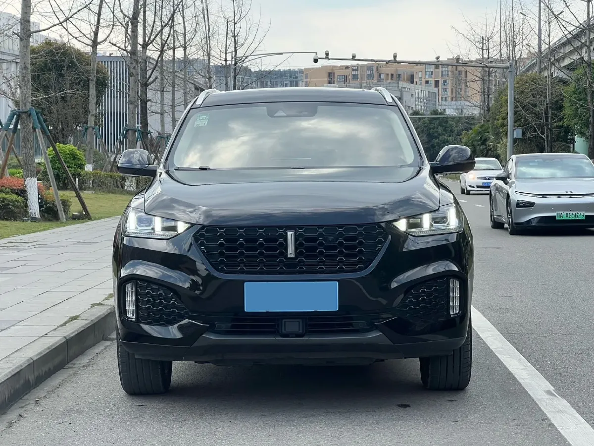 2019 WEY VV6 2.0T 224HP L4 7DCT,autocango,china used car exporter,china ev exporter,chinese used car exporter,chinese used ev exporter