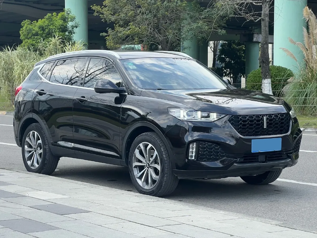 2019 WEY VV6 2.0T 224HP L4 7DCT,autocango,china used car exporter,china ev exporter,chinese used car exporter,chinese used ev exporter
