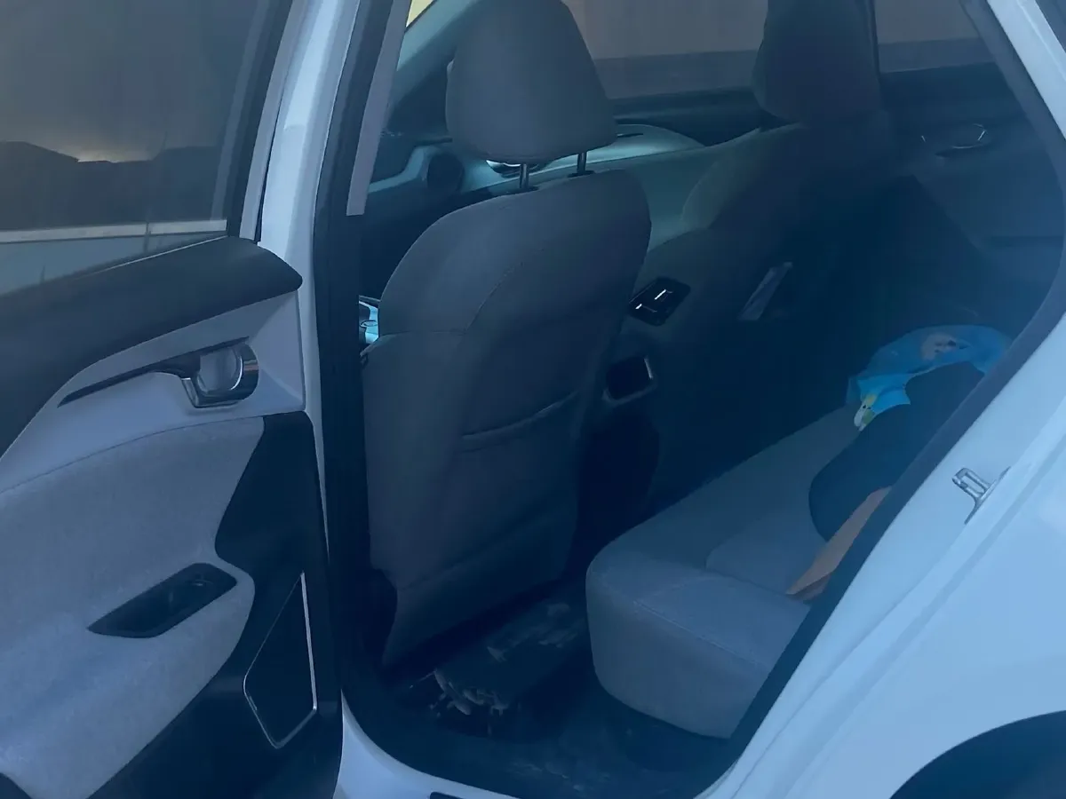 2019 Geometry A BEV 51.9KWH,autocango,china used car exporter,china ev exporter,chinese used car exporter,chinese used ev exporter