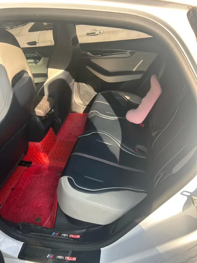 2021 DongFeng FuKang e Elysee BEV 30.7KWH,autocango,china used car exporter,china ev exporter,chinese used car exporter,chinese used ev exporter