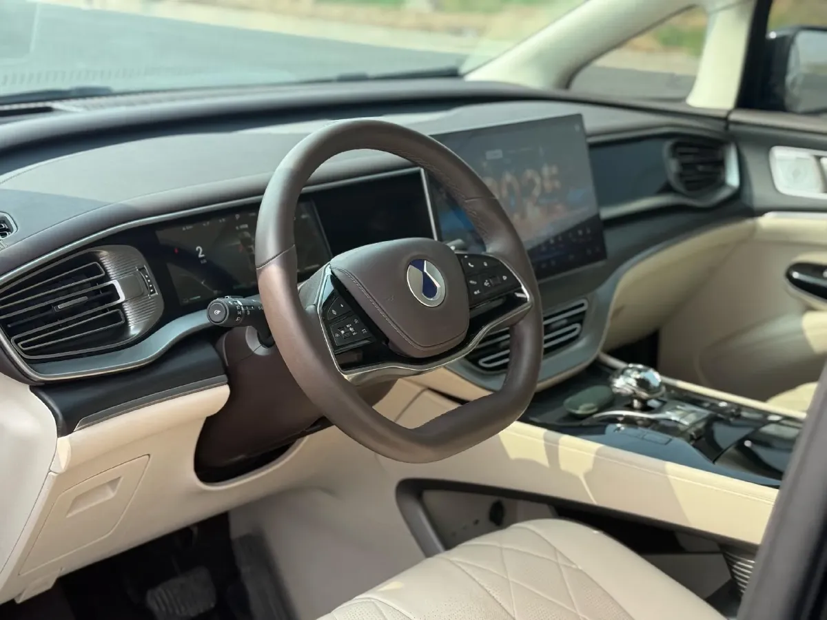 2024 Denza D9 1.5T 139HP L4 E-CVT PHEV 40KWH,autocango,china used car exporter,china ev exporter,chinese used car exporter,chinese used ev exporter