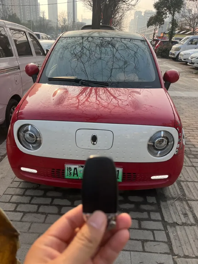 2019 Ora BlackCat BEV 33KWH,autocango,china used car exporter,china ev exporter,chinese used car exporter,chinese used ev exporter
