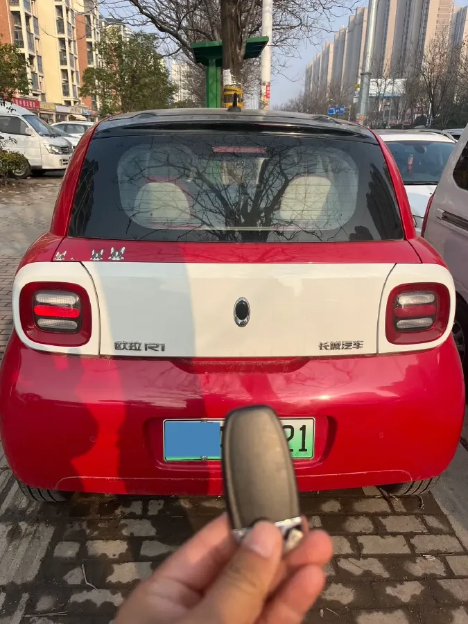 2019 Ora BlackCat BEV 33KWH,autocango,china used car exporter,china ev exporter,chinese used car exporter,chinese used ev exporter