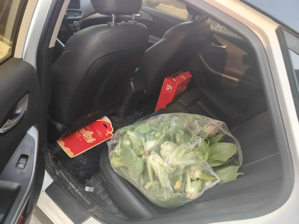 2019 Hyundai La Festa 1.6T 190HP L4 7DCT,autocango,china used car exporter,china ev exporter,chinese used car exporter,chinese used ev exporter