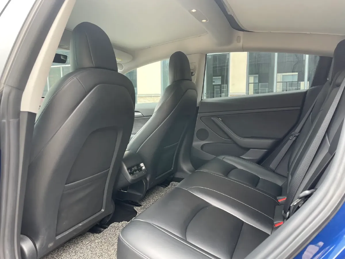 2021 Tesla Model 3 BEV 55KWH,autocango,china used car exporter,china ev exporter,chinese used car exporter,chinese used ev exporter