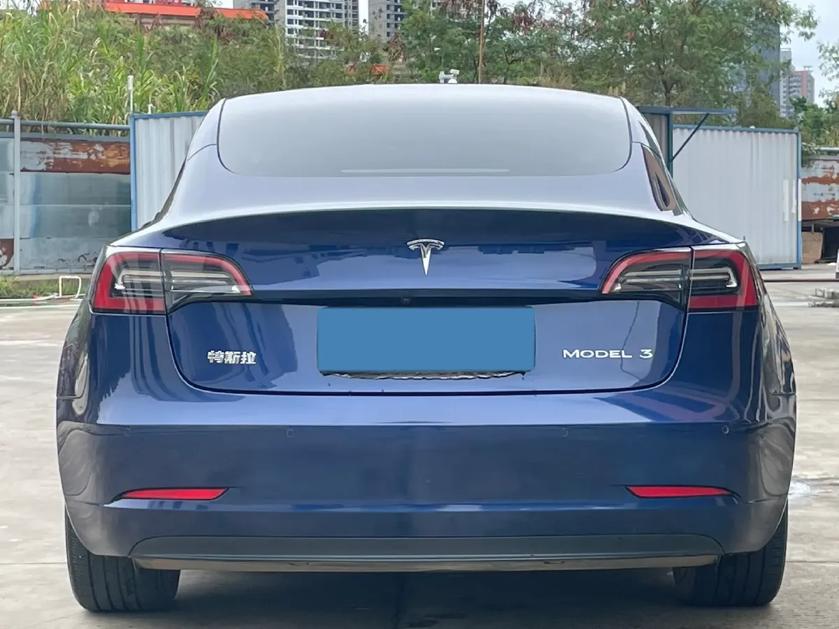 2021 Tesla Model 3 BEV 55KWH,autocango,china used car exporter,china ev exporter,chinese used car exporter,chinese used ev exporter