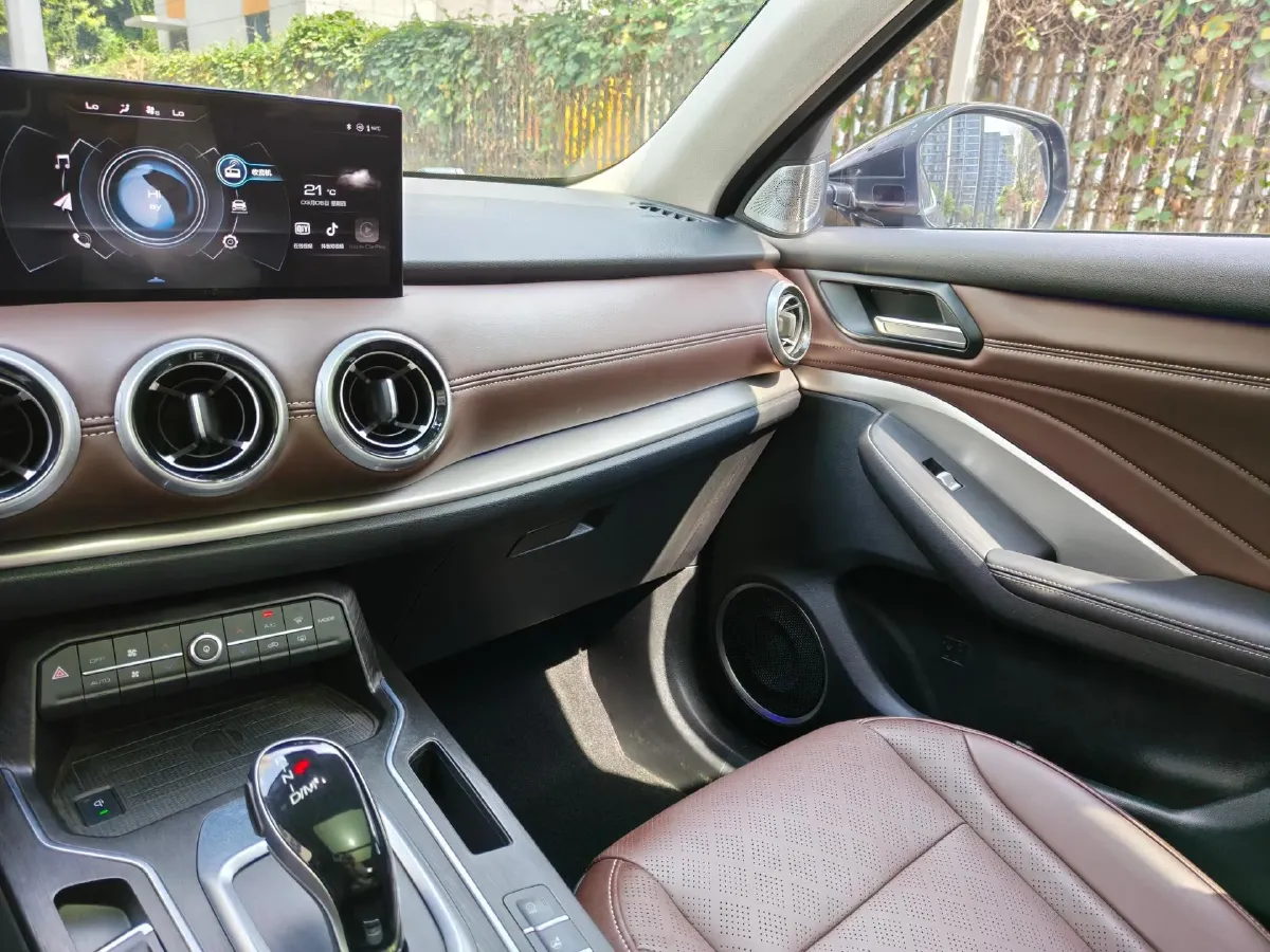 2020 WEY VV6 2.0T 227HP L4 7DCT,autocango,china used car exporter,china ev exporter,chinese used car exporter,chinese used ev exporter