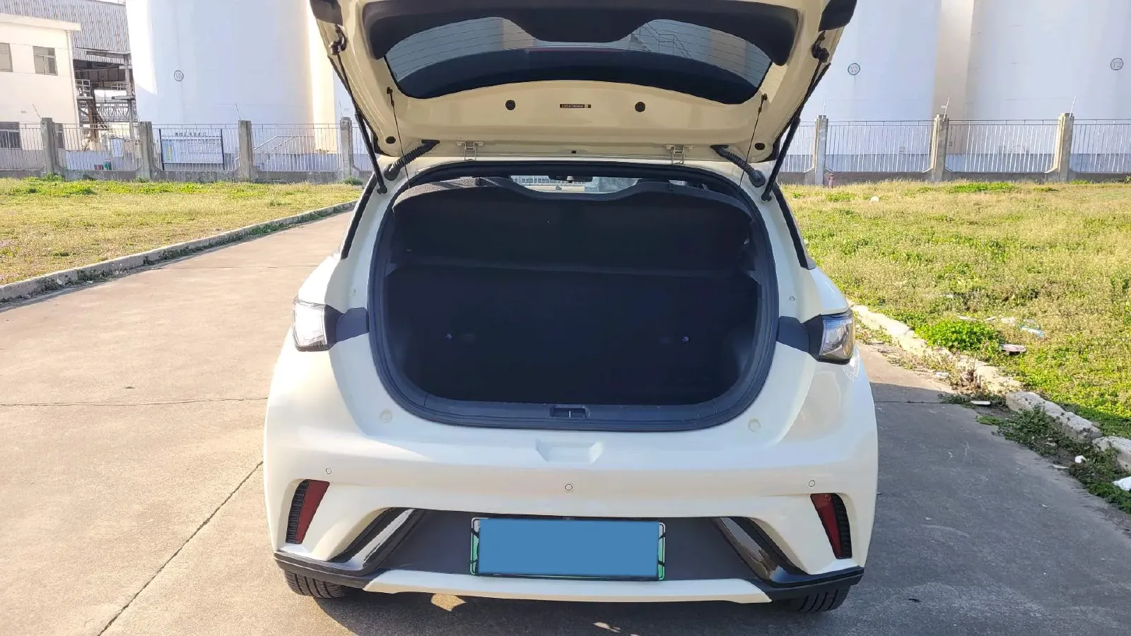 2023 BYD Dolphin BEV 44.928KWH,autocango,china used car exporter,china ev exporter,chinese used car exporter,chinese used ev exporter