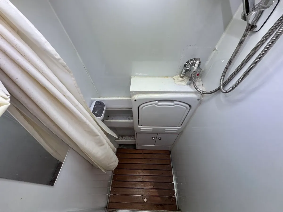 2019 SHELBY GTE 2.3T 338HP L4 10AT,autocango,china used car exporter,china ev exporter,chinese used car exporter,chinese used ev exporter