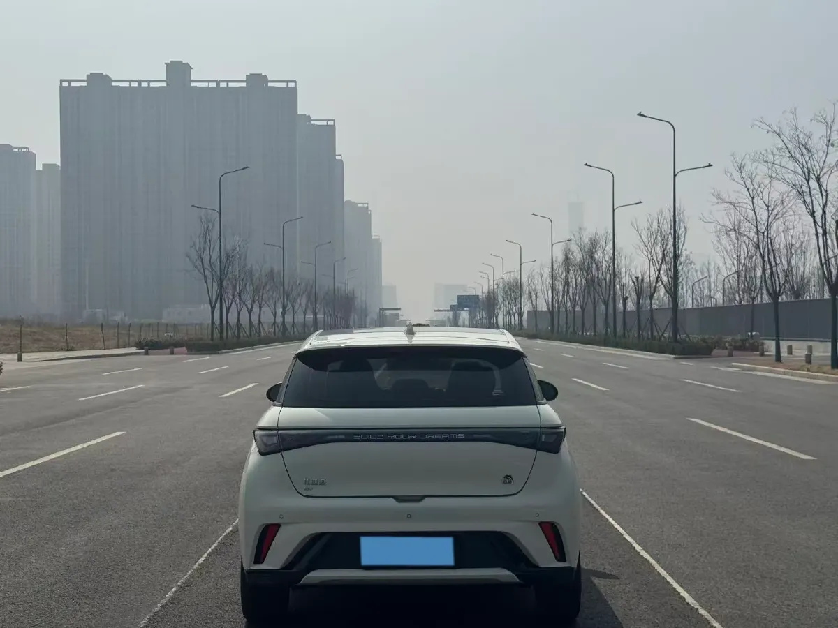 2021 BYD Yuan Pro BEV 50.1KWH,autocango,china used car exporter,china ev exporter,chinese used car exporter,chinese used ev exporter
