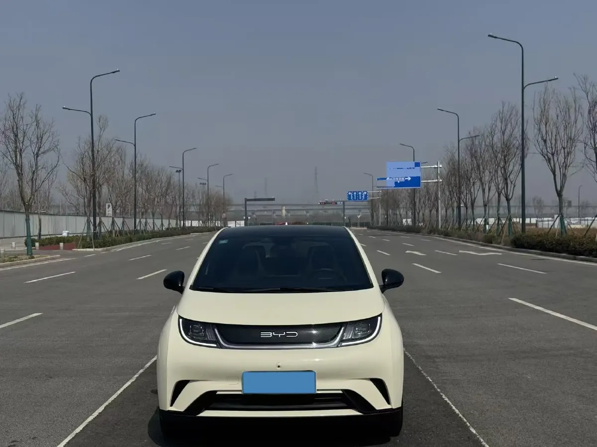 2021 BYD Yuan Pro BEV 50.1KWH,autocango,china used car exporter,china ev exporter,chinese used car exporter,chinese used ev exporter