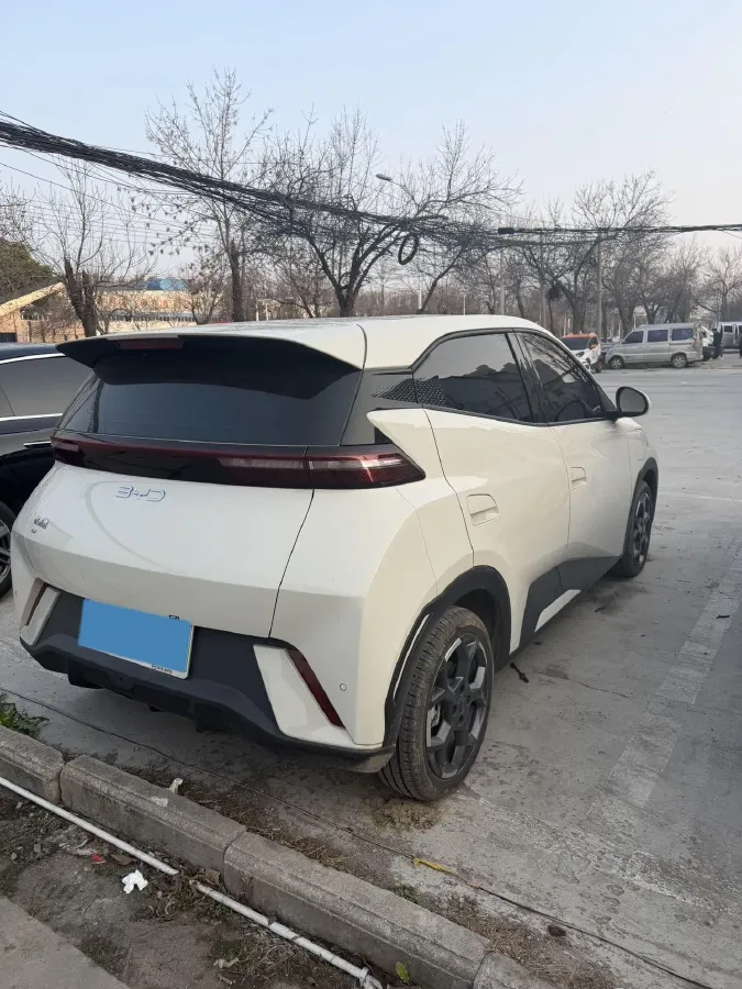 2024 BYD Seagull BEV 30.08KWH,autocango,china used car exporter,china ev exporter,chinese used car exporter,chinese used ev exporter