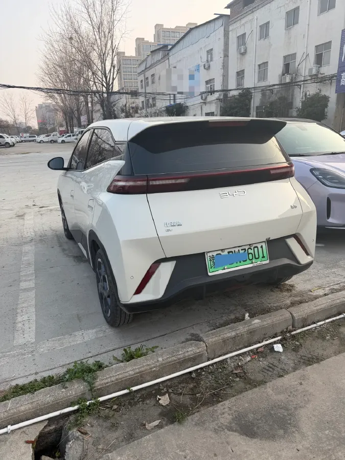2024 BYD Seagull BEV 30.08KWH,autocango,china used car exporter,china ev exporter,chinese used car exporter,chinese used ev exporter
