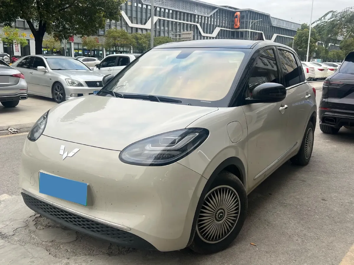 2024 WuLing BinGuo BEV 37.9KWH,autocango,china used car exporter,china ev exporter,chinese used car exporter,chinese used ev exporter