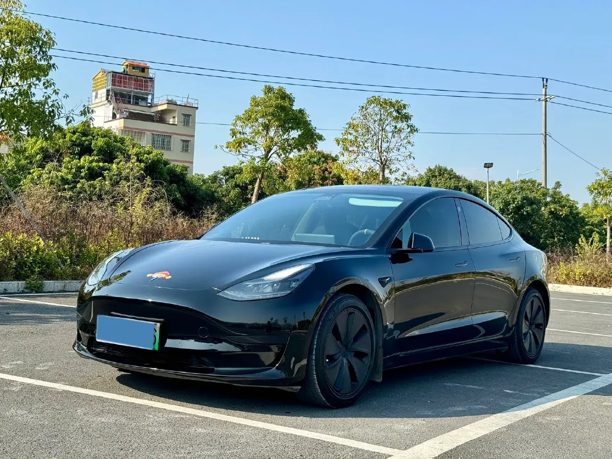 2021 Tesla Model 3 BEV 55KWH,autocango,china used car exporter,china ev exporter,chinese used car exporter,chinese used ev exporter