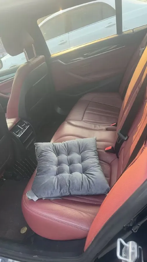 2020 BMW 5 Series 2.0T 252HP L4 8AT,autocango,china used car exporter,china ev exporter,chinese used car exporter,chinese used ev exporter