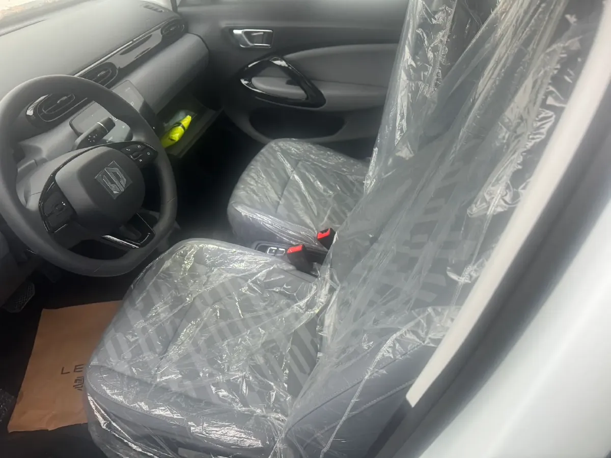 2025 Leapmotor T03 BEV 31.9KWH,autocango,china used car exporter,china ev exporter,chinese used car exporter,chinese used ev exporter