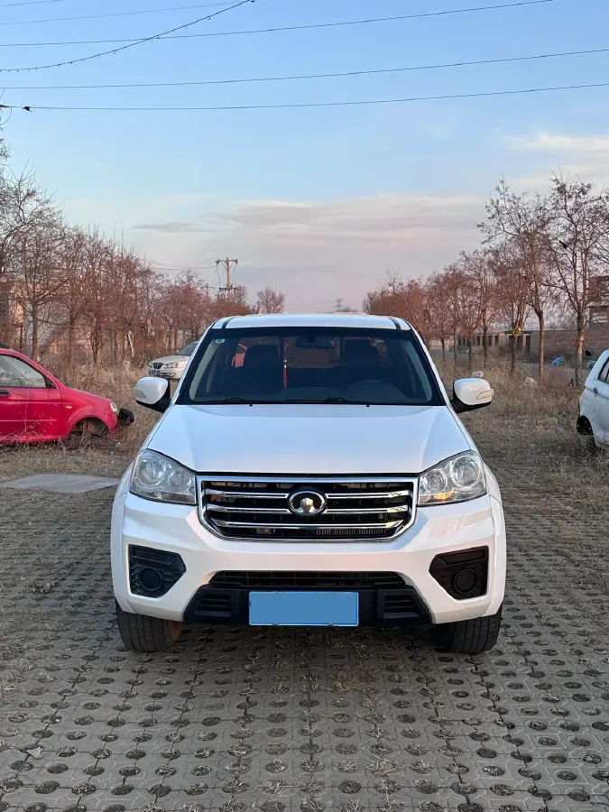 2017 Great Wall Wingle 5 2.0T 102HP L4 5MT,autocango,china used car exporter,china ev exporter,chinese used car exporter,chinese used ev exporter