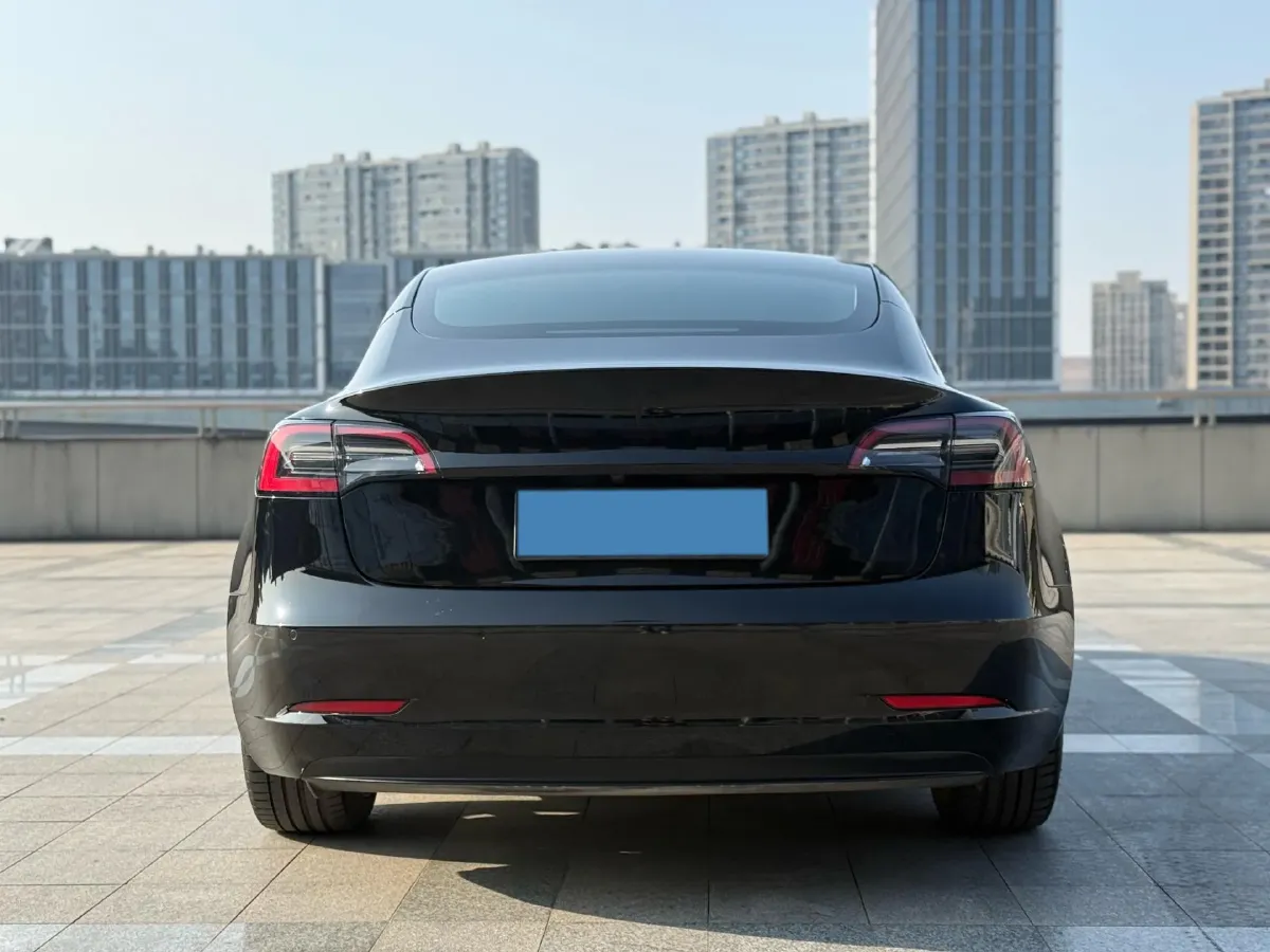 2021 Tesla Model 3 BEV 55KWH,autocango,china used car exporter,china ev exporter,chinese used car exporter,chinese used ev exporter