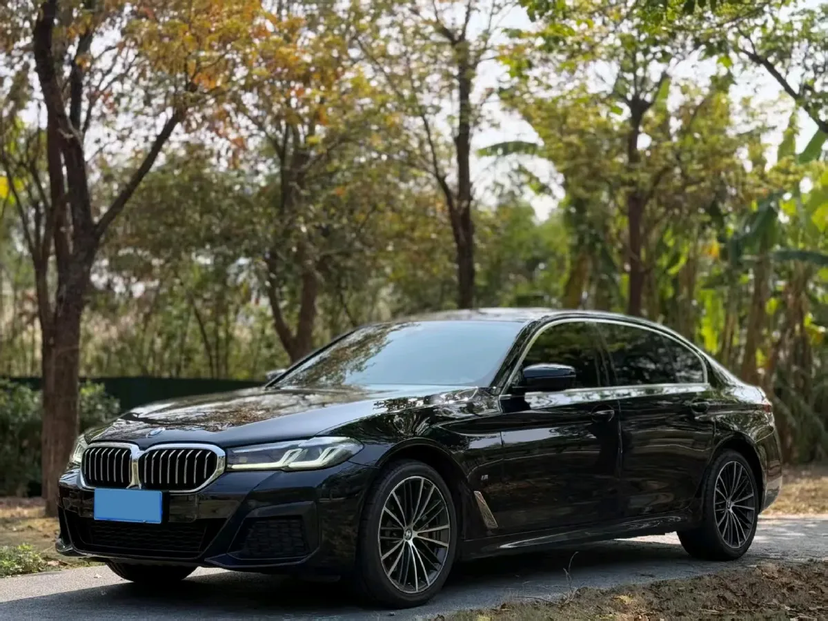 2021 BMW 5 Series 2.0T 252HP L4 8AT,autocango,china used car exporter,china ev exporter,chinese used car exporter,chinese used ev exporter