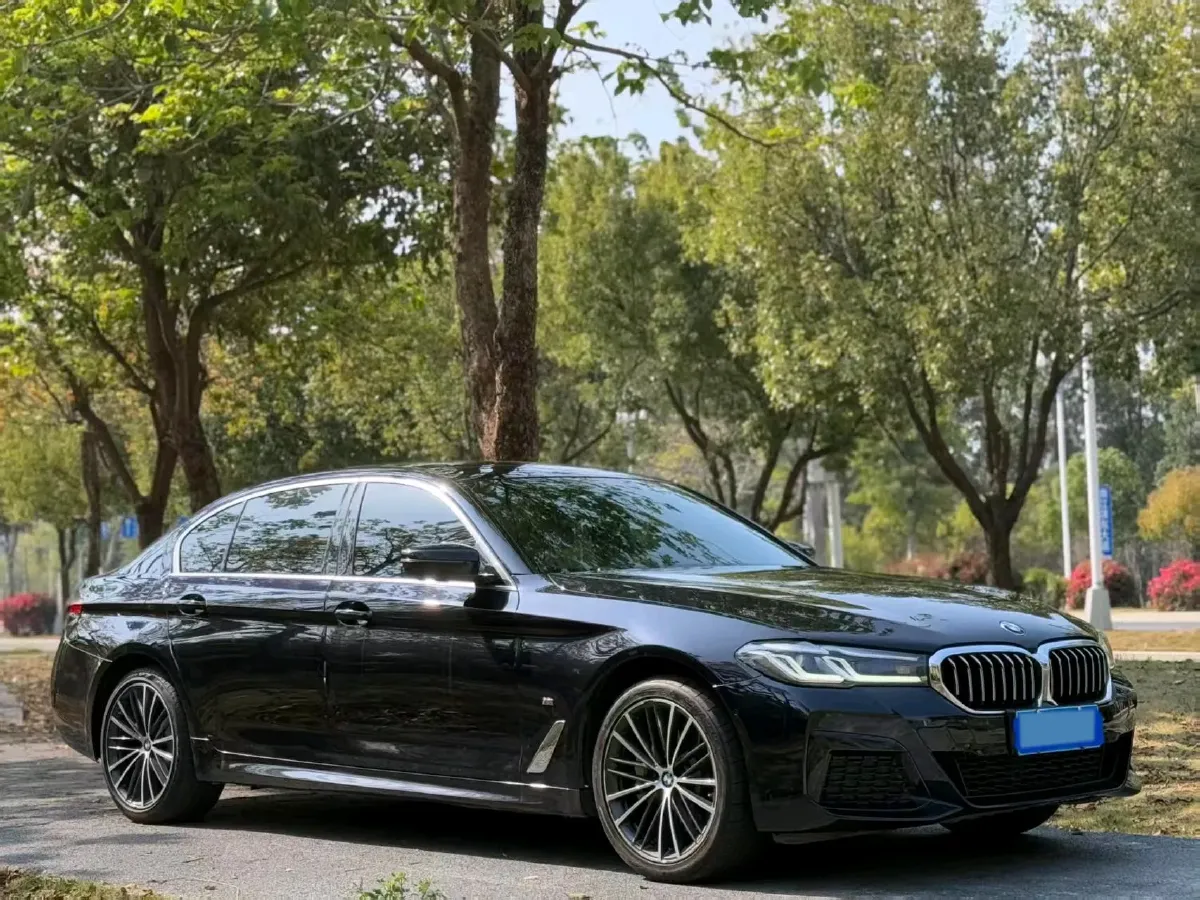 2021 BMW 5 Series 2.0T 252HP L4 8AT,autocango,china used car exporter,china ev exporter,chinese used car exporter,chinese used ev exporter